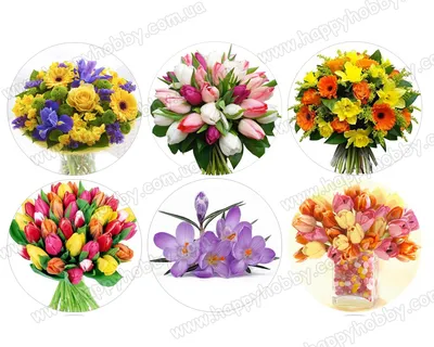 Картинка Весенние цветы гиацинты » Весенние цветы » Цветы » Картинки 24 -  скачать картинки бесплатно