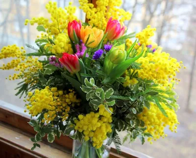 Обои цветок, весна, первоцвет, весенние цветы, весенний цветок картинки на  рабочий стол, раздел цветы - скачать