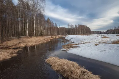 Картина рисунок масляной пастелью "Весенние воды" в интернет-магазине  Ярмарка Мастеров по цене 535.5 ₽ – QCJMIBY | Картины, Кемерово - доставка  по России