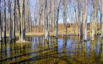 С.Жуковский, Весенние воды, Ришар, до 1917 — покупайте на  по  выгодной цене. Лот из Москва, Москва. Продавец birushka. Лот 89031025753777