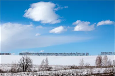 Просыпается весна яркое солнце🌞 фото…» — создано в Шедевруме