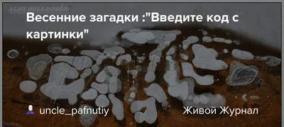 Детские загадки про весну с ответами. Весенние загадки для школьников »  Master classy - мастер классы для вас