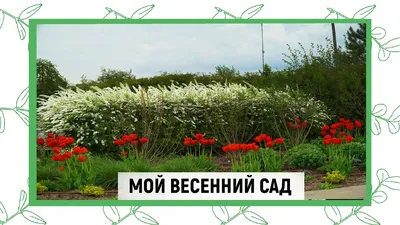 Купить набор для вышивки бисером "Весенний сад" | Интернет-магазин Золотые  Ручки