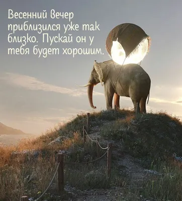 Картинки "Доброго весеннего вечера!" (156 шт.)