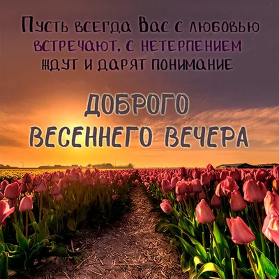 Весенний вечер в лесу « Шильдер Андрей Николаевич « Русская живопись «  Музей « Воскресный день