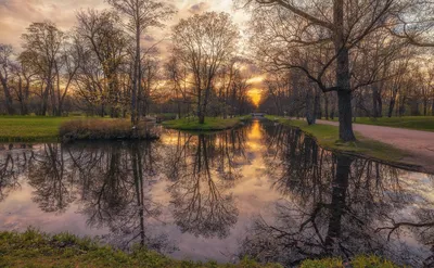 Фото Весенний вечер в деревне... на фотохостинге Fotoload