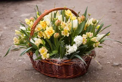 Композиция из весенних цветов - купить с доставкой по Киеву, лучшая цена на  Композиция из весенних цветов на сайте цветов с доставкой Флорен