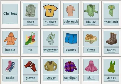 Повседневные предметы на английском языке (уровень elementary) | Английский  по скайпу в онлайн школе IEnglish