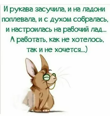 Анекдоты про россию, путина, войну и отключения света - смешные приколы,  картинки и мемы - Телеграф