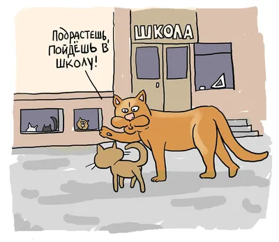 Кошачья философия. Лучшие веселые картинки про жизнь кошек и котов!  Нравится даже кошкам! | карикатУРА ЖИЗНИ | Дзен