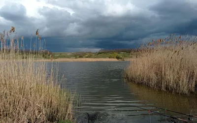 Ранняя весна, апрель