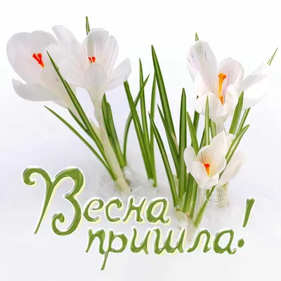 Весна близко на заказ - купить в Бердске с доставкой - цена, состав