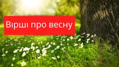 Раскраски весна для детей по точкам