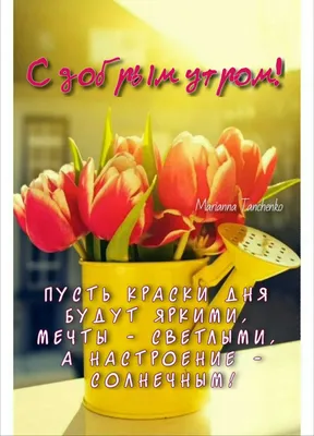 С добрым утром 🌞🌼🌺🌹 | TikTok