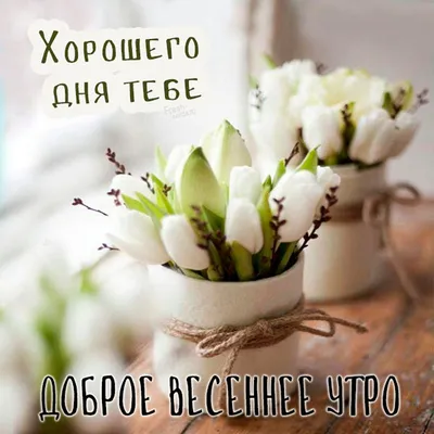 X 上的 Персонал Консалтинг：「Доброе весеннее утро!!! #доброеутро #хорошегодня # весна #прекрасногонастроения #персоналконсалтинг #трудоустройство  #работавсаратове /FoWmpYbbVe」 / X