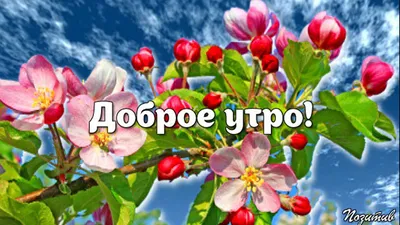 С Добрым утром, Страна! 😌 ☀ С первым днем весны!!! 🌷 Весна — пора любви и  новых начинаний. Вас.. | ВКонтакте