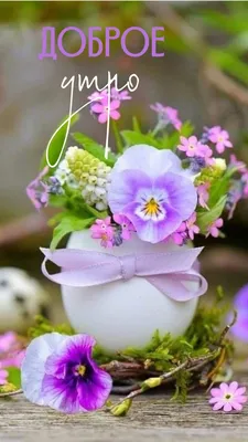 Доброе утро#Суббота#Весна#Хорошего дня#Отличного настроения# Моим друз... |  TikTok