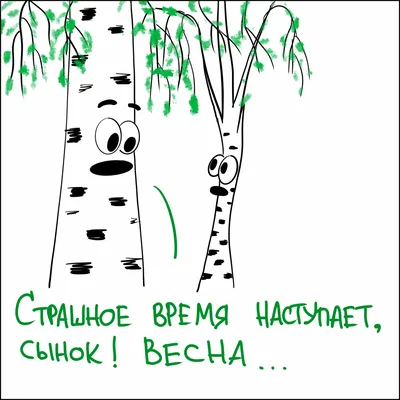 Весна. Берёзы. Юмор в стиле начала нулевых | Пикабу