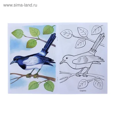 Рисунок птицы весной - 78 фото