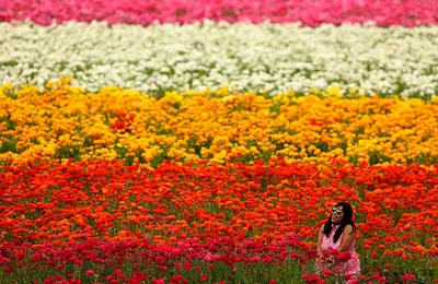 This colorful wool embroidery has a magical way of enveloping me in the  splendor of blooming flowers, and it's a feeling I get to… | Instagram