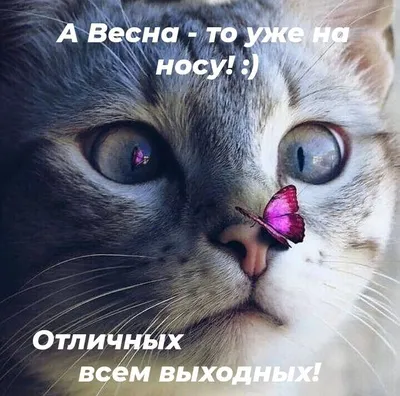 Весна на носу | Пикабу