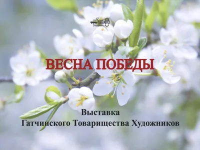 Весна Победы”, празднование 75-летней годовщины Великой Победы -  Официальный сайт муниципального бюджетного учреждения дополнительного  образования «Детско-юношеский Центр «Пилигрим» имени 37 гвардейского  Свирского Краснознаменного воздушно-десантного ...