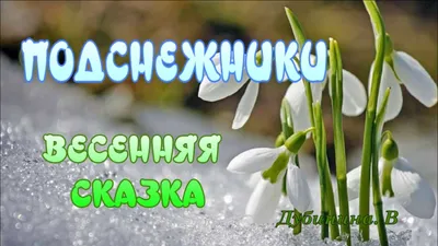 Первый день весны в Крыму: мы пошли на Аю-Даг за подснежниками | Пикабу