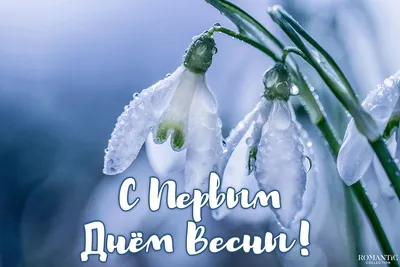 С праздником весны, милые женщины! - ГБУ СО ЯО НЕКРАСОВСКИЙ ДОМ-ИНТЕРНАТ  ДЛЯ ПРЕСТАРЕЛЫХ И ИНВАЛИДОВ