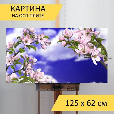 картинки : природа, цветок, весна, цветы, без, Кустарник, Фиолетовый,  сирень, цветущее растение, Наземный завод, Оливковая семья 4606x3454 - -  863764 - красивые картинки - PxHere