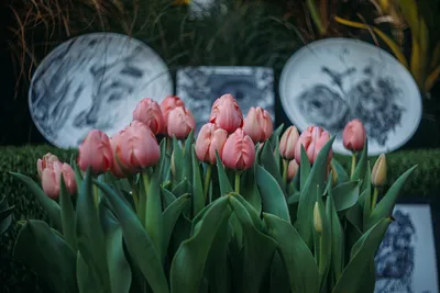 Весна пришла: большая корзина с тюльпанами разных цветов по цене 10625 ₽ -  купить в RoseMarkt с доставкой по Санкт-Петербургу