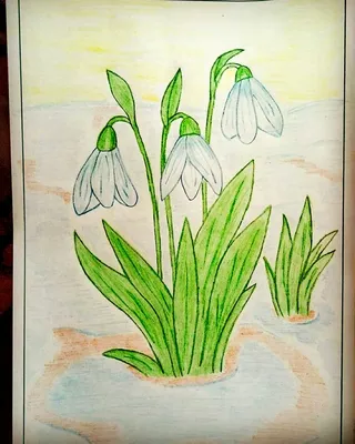 Рисунки на тему весны для срисовки | Рисунки, Рисунок, Картинки