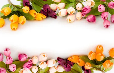 Картинка весна, цветы 1280x720 скачать обои на рабочий стол бесплатно, фото  117593