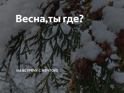 Весна,ты где? | на встречу с Мечтой) | Дзен