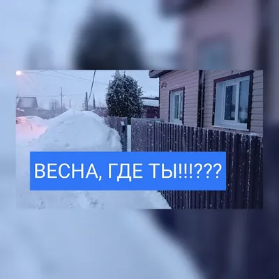 Весна, ты где?!? | Пикабу