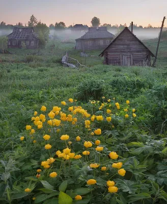 Весна в деревне (Сергей Карпеев 3) / Стихи.ру