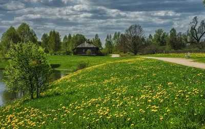Весна В Деревне, Фотография - Николай Матюшенков | Artmajeur