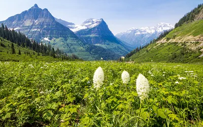 Pictures Spring Nature Mountains landscape photography Grass