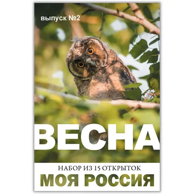 Фарфоровая кружка с ситечком "Девушка Весна", 390 мл, Россия - купить по  выгодной цене | Creative Market