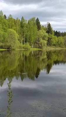 Платье Эля весна для ребенка – купить оптом с доставкой по России, Москве,  СПб | Sova Lina, Иваново