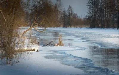 Фотообои цветущая аллея, весенний сад 2022 весна пейзаж