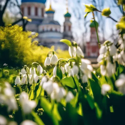 Весенние обои в высоком разрешении