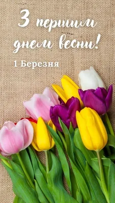 Зі святом весни | Happy birthday wishes, Happy birthday, Birthday wishes