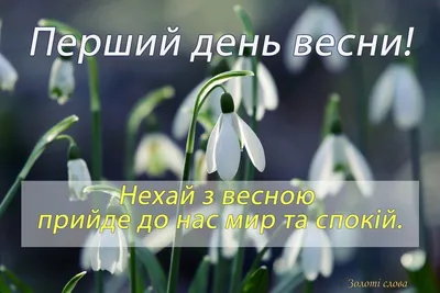 Поздравления с первым днем весны: проза, стихи, картинки на украинском  языке — Украина