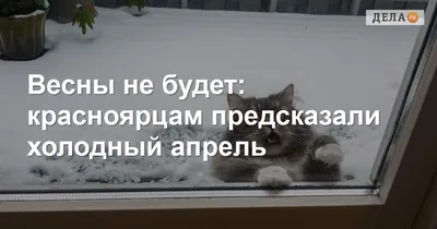 Весны не будет #18