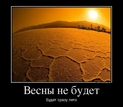 С праздником друзья! Пусть Ваш труд приносит Вам удовольствие и не будет  напрасным!💪 И пусть весна(хоть и началась "не очень") но пр… | Цветы,  Праздник, День труда