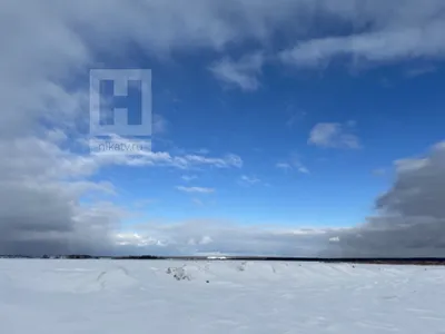 Весны не будет, расходимся | Пикабу