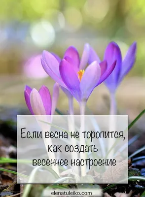 Весны не будет, будут только аресты. Штраф за видеообращение к президенту,  аресты активистов «Весны»* и день рождения Навального. Хроника текущих  репрессий — Новая газета