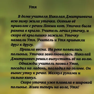 Изложение 3-4 класс "Утя". Вспоминаем, как правильно писать изложения  вместе с нами | Заметки мамы-училки | Дзен