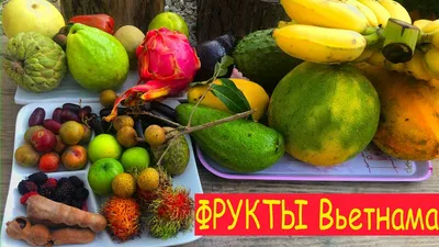 Экзотические фрукты Вьетнама: названия и фото, цены, фрукты по месяцам, как  везти в самолете.