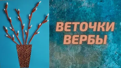 Willow twigs | Веточки вербы — Steemit